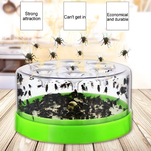 JHdrYfe Gnat Killer for Indoor, Fungus Gnat Trap for Kitchen/Home, Fruit Fly Killer Indoors Fruit Fly Traps for Indoors