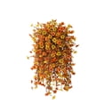 thumbnail image 1 of JHyouerji Artificial Violet Rattan Flower 27 Inch Fade Resistant Orange Plastic Lifelike Vine Decor for Indoor Outdoor Balcony Wall Display, 1 of 6