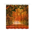 thumbnail image 1 of JHyouerji Printed Polyester Shower Curtain,Mildew Proof Water Repellent Bathroom Partition Curtain,Machine Washable Fabric Curtain with 12 Hanging Holes,59×71 Inch, 1 of 3
