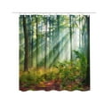thumbnail image 1 of JHyouerji Printed Polyester Shower Curtain,Mildew Proof Water Repellent Bathroom Partition Curtain,Machine Washable Fabric Curtain with 12 Hanging Holes,59×71 Inch, 1 of 2