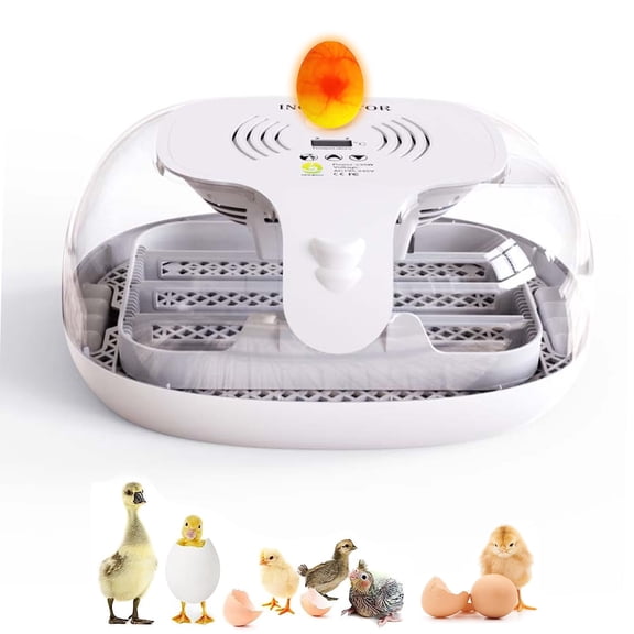 JIAN YA NA 16 Eggs Incubator Automatic Hatch Chicken Duck Egg Turner with Auto Adding Water