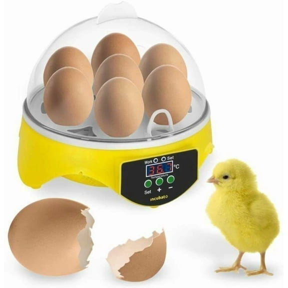 JIAN YA NA Egg Incubator, 7 Eggs Chicken Hatcher with Temperature Control for Hatching Chickens, Ducks, Geese, Quails, and Birds