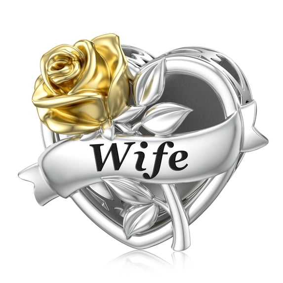 JIAYIQI Wife Charms Fit Charm Bracelet Love Charm Valentine's Day Gift for Wife
