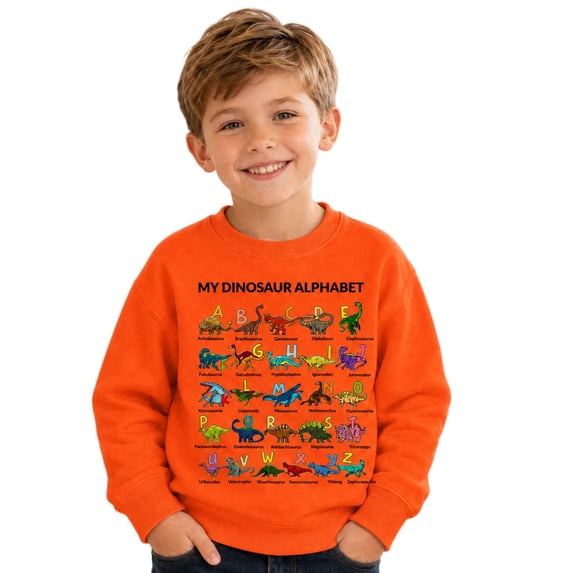 JIAYUE Boys Crew Neck Sweatshirt Dinosaur Alphabet Graphic Print Long Sleeve Pullover Tops for Fall Workout Wear,13-14 Years