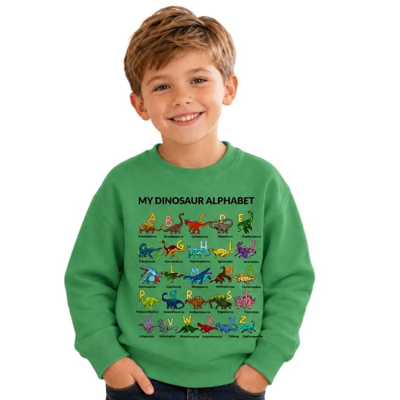 JIAYUE Boys Crew Neck Sweatshirt Dinosaur Alphabet Graphic Print Long Sleeve Pullover Tops for Festival Gathering,13-14 Years