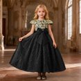 thumbnail image 1 of JIAYUE Carnival Toddler Girls Dresses Floral Ball Gown Short Sleeve Long Crew Neck For Child Spring Fall Seasonal Dresses, 1 of 5