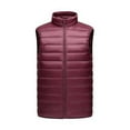 thumbnail image 1 of JIKNTTR Men's Lightweight Puffer Vest Jacket Winter Outdoor Casual Stand Collar Vest Padded Jacket Coat Vest Pullover Thermal Shirts, 1 of 5