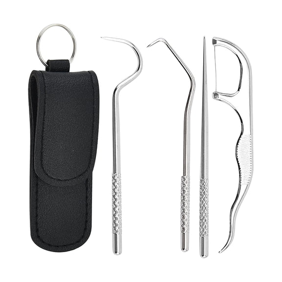 JINCBY Clearance,Stainless Steel Toothpicks Kit, Premium Teeth Cleaning Tools, Reusable Tooth Picks Set, Pocket Keychain Portable Metal Toothpicks Holder For Travel Gift for Women