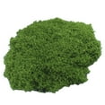 thumbnail image 1 of JINGT 1 Pcs Artificial Green Plants Moss Diy Crafts Plastic Moss Grass Garden Home Room Decor Mini Landscape Fake Grass 30/50G dark green 30, 1 of 8