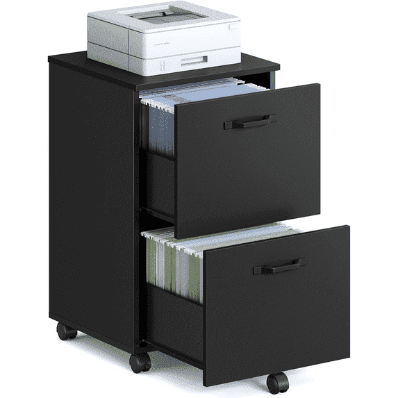 JIOABL 2 Drawer Rolling File Cabinet with Lockable Wheels, Mobile Printer Stand with Storage, Black, 1 Set