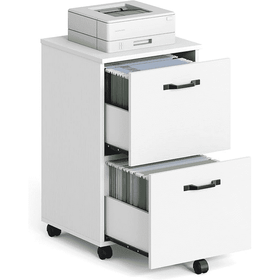 JIOABL 2 Drawer Rolling File Cabinet with Lockable Wheels, Mobile Printer Stand with Storage, Steel Frame, White, 1 Set