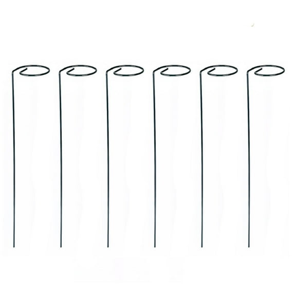 JIhuahe 6-Pack Straight Tomato Plant Support Stakes, 48 inch Metal Garden Stakes for Climbing Vegetables, Heavy Duty Plant Cages for Tomatoes Peppers Cucumbers Vine Support