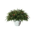 thumbnail image 1 of JIhuahe Christmas Norfolk Pine Branches with Battery-Operated LED Lights, Indoor Holiday Decor for Home and Tabletop, Festive Winter Decoration with Easy Power Setup, 1 of 8