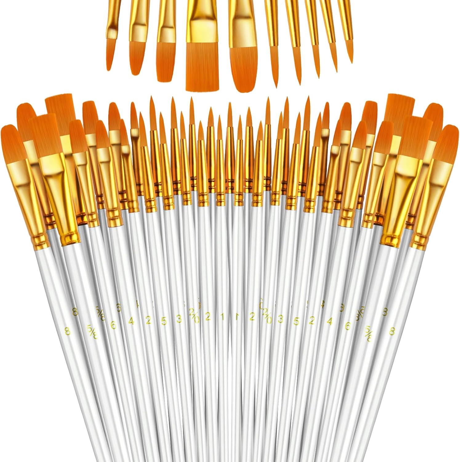 JJEAN-Paint Brushes Set, 5 Pack 50 Pcs Round-Pointed Tip Paintbrushes Nylon Hair Artist Acrylic Paint Brushes for Acrylic Oil Watercolor, Face Nail Art, Miniature Detailing & Rock Painting, White