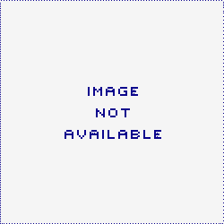 Baer Brakes 6070012 Replacement Pads for Select Baer S4 Caliper