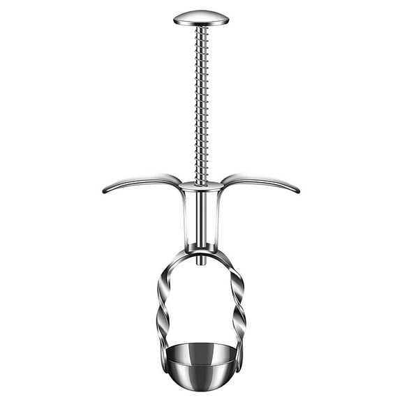 JKLOP Strawberries Vegetable Household Kitchen Pitter Multifunction Cherry Remover Portable Red Date Pitter Metal Fruit Stone Jujube Red Date for Home & Kitchen
