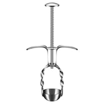 JKLOP Strawberries Vegetable Household Kitchen Pitter Multifunction Cherry Remover Portable Red Date Pitter Metal Fruit Stone Jujube Red Date for Home & Kitchen