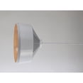 thumbnail image 1 of JL Styles Inc Beaut Pendant Light, 1 of 7