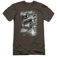 thumbnail image 1 of JLA Justice League Atmospheric Premium Canvas Adult Slim Fit 30/1 T-Shirt Charcoal, 1 of 1