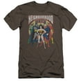 thumbnail image 1 of JLA Justice League NeigHBOrhood Watch Premium Canvas Adult Slim Fit 30/1 T-Shirt Charcoal, 1 of 1