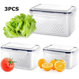 https://i5.walmartimages.com/seo/JLLOM-3-Pack-Vegetable-Fruit-Storage-Containers-For-Fridge-With-Lids-Drain-Colanders-Refrigerator-Organizations-Spinach-Strawberry-Berry-Salad-Cheese_94520163-2593-4ae1-aac0-2a475ee5495c.93cfda4edae06ee143eb9be868f28663.jpeg?odnHeight=264&odnWidth=264&odnBg=FFFFFF