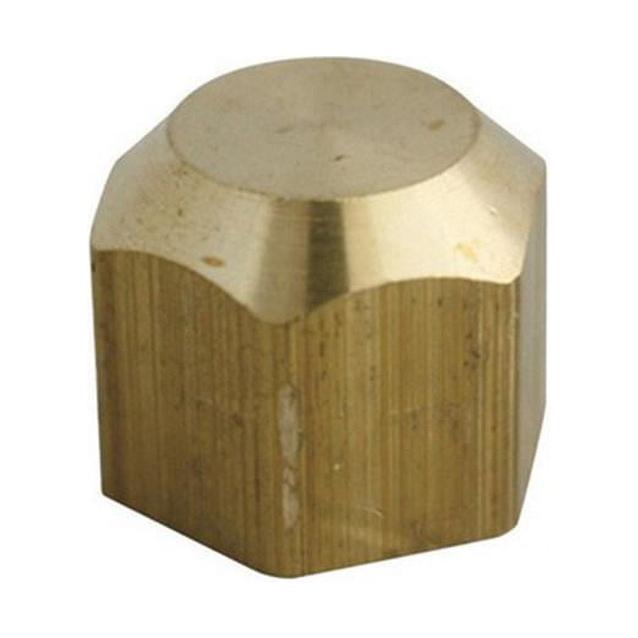 JMF 4338778 0.25 in. Fitting Cap - pack of 10