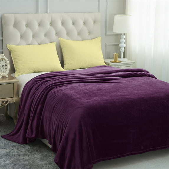 JML Fleece Bed Blankets Queen Purple - Soft Lightweight Plush Cozy Blanket Microfiber, 77"X81"