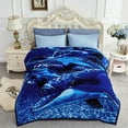 thumbnail image 1 of JML King Fleece Bed Blanket for Winter,520GSM Polyester Soft Fleece Blanket,83"x91", 1 of 5