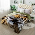 thumbnail image 1 of JML Queen Size Fleece Blanket, 1 Ply Lightweight Korean Style Plush Bed Blanket, 75" X 91", 1 of 7