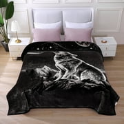 JML Queen Size Soft Warm Fleece Bed Blanket Reversible Thick Mink Blanket 75 x 87 inches,5lbs