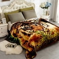 thumbnail image 1 of JML Raschel A&B Printed 2-ply Reversible Korean-style Plush Fleece Blanket Brown Tiger Queen Animal Print, 1 of 5