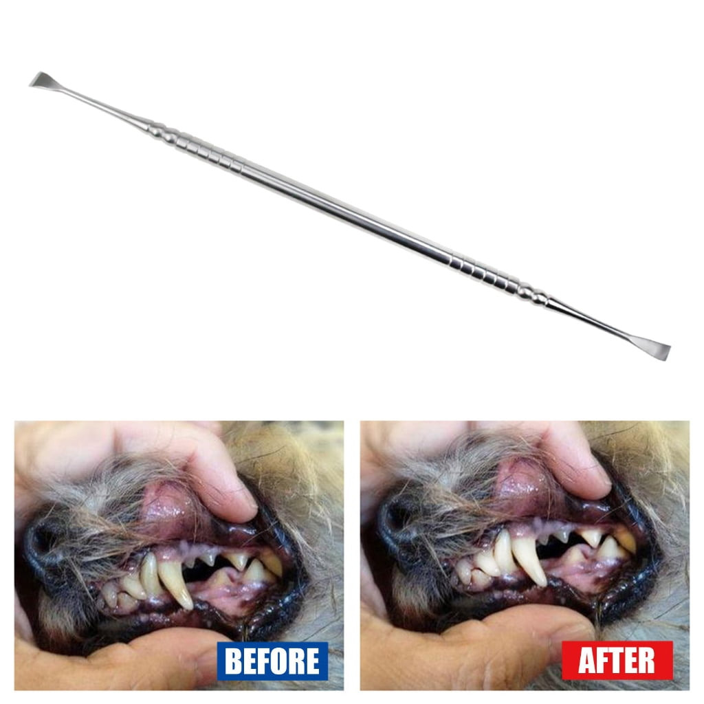 Dog tartar clearance remover