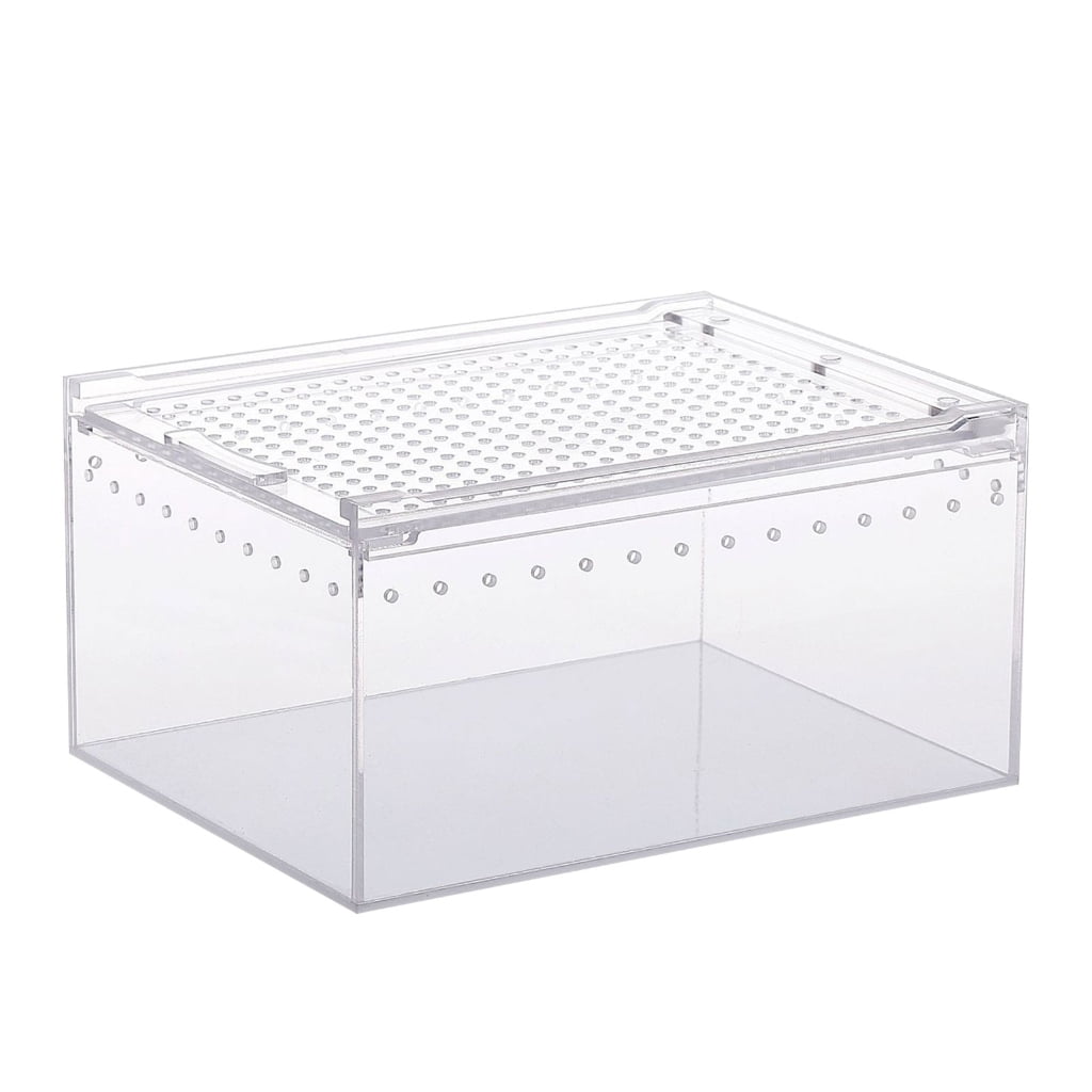 JNANEEI Reptile Feeding Box Acrylic Reptile Cage Clear-Design Cube ...