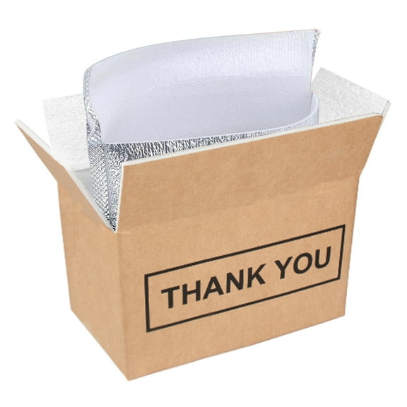 JNXYL Chill Insulated Shipping Boxes with Aluminum Foil Liner, Cold Shipping Boxes, Mailing Boxes, Food Delivery Carton Box, Travel Packing Carton Supplies (10Pcs, XL)