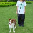 JNZHUA Long Adjustable Hands Free Dog Leash with Reflective Double