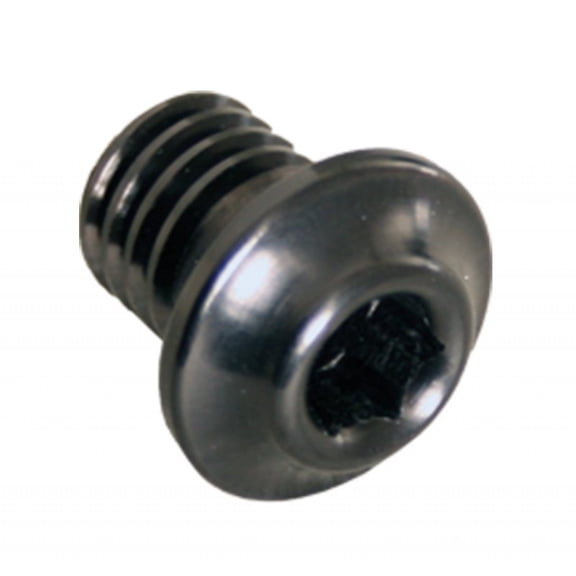 JOES Racing Products 25320 Aluminum Dust Cover Bolts