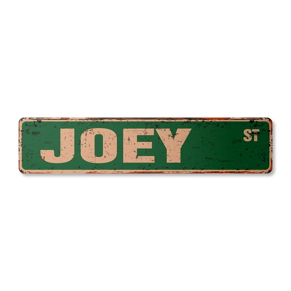 JOEY Vintage Plastic Street Sign Childrens Name Room Sign | Indoor/Outdoor |  30" Wide