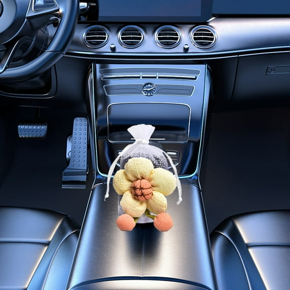 JOGZMZ Car Removal Car The Odor in The Car to Absorb The Charcoal Bags New Car Remover Activated Carbon Packets