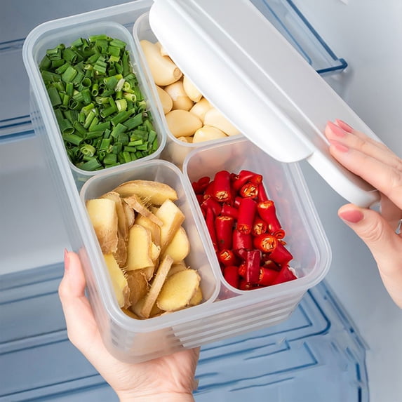 JOGZMZ Foods Storage Containers with Lids Removable Divided Platter Foods Storage Containers with 4 Compartment Refrigerator Organizer Bins Foods Storage Organizer134 A 8.66×5.7×3.93in