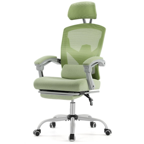JOINSUN Office Chair, Ergonomic High Back with Adjustable Lumbar Support, Headrest, Footrest, Green