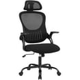 thumbnail image 1 of JOINSUN High-Back Ergonomic Mesh Chair with Lumbar & Headrest Support, Flip-Up Armrests, Ideal for Office, Study & Home Workstations, Black, 1 of 6