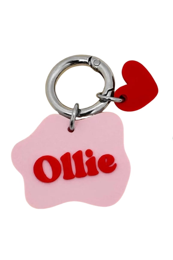 Personalized 3D Printed Wave Shaped Pet ID Tag, Custom Text Keychain, Lightweight Durable Nameplate For Dogs and Cats, Unique Curved Design, Colorful Filament Options(M,E)