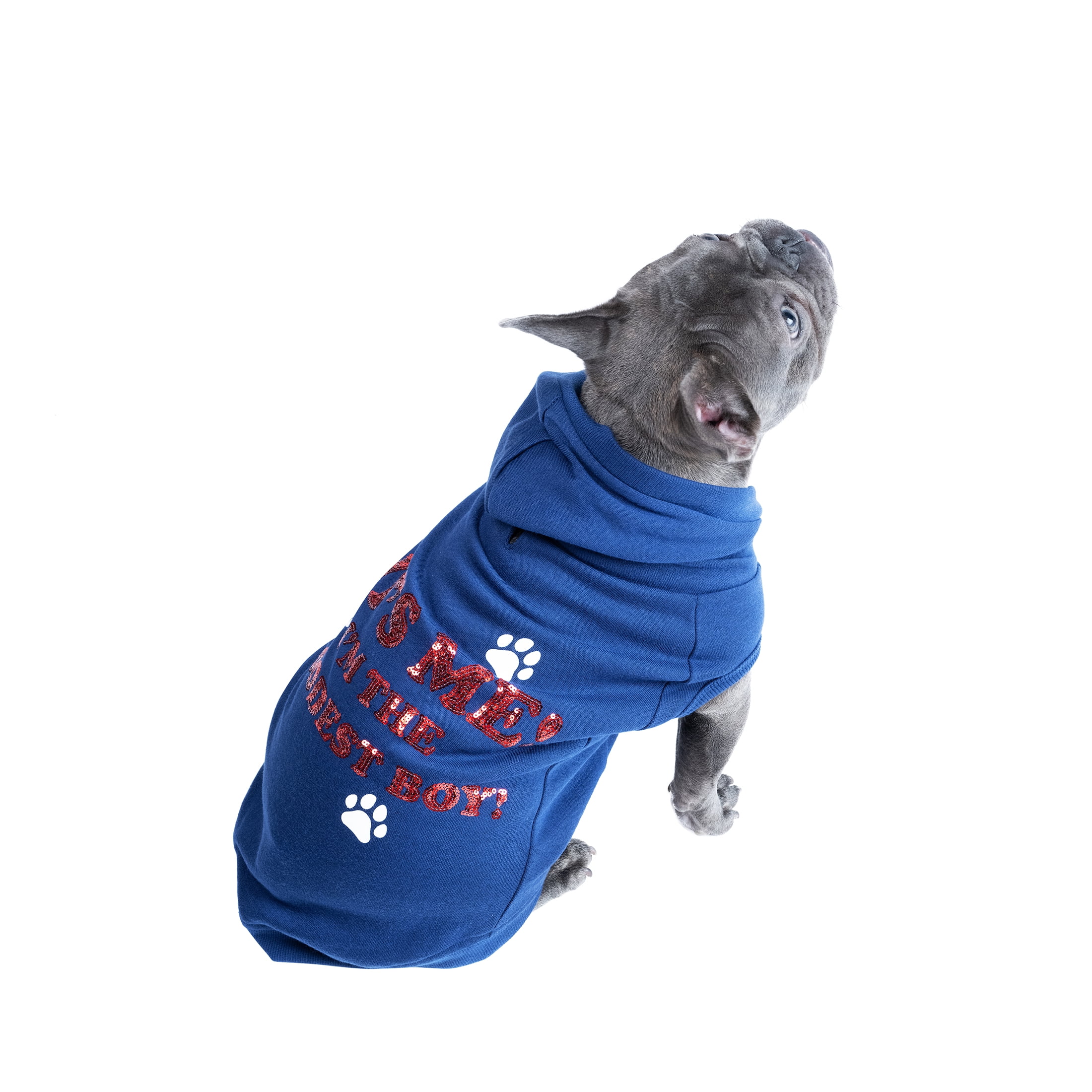 JOLLY KNITS DOG HOODIE- Who's a good boy? - Small