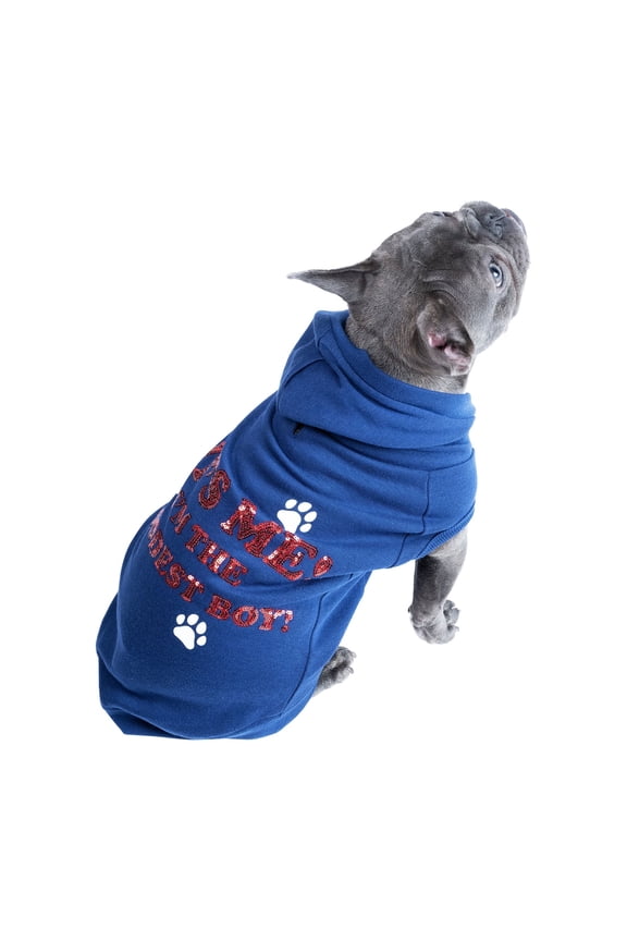 JOLLY KNITS DOG HOODIE- Who's a good boy? - XXLarge