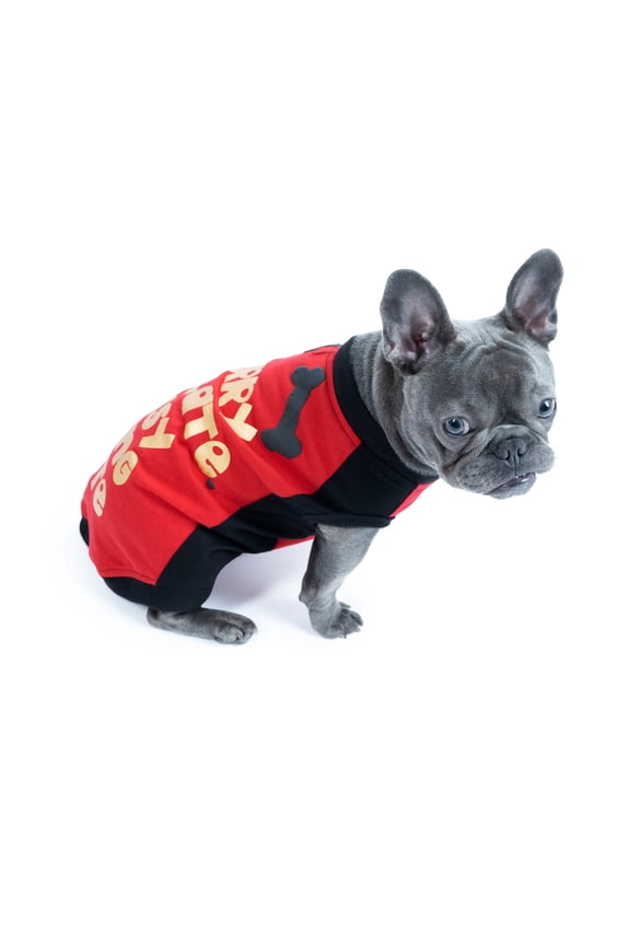 JOLLY KNITS DOG TSHIRT -HOW CUTE AM I - XXLarge