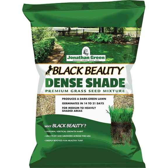 JONATHAN GREEN Black Beauty Dense Shade Grass Seed Mixture - Pack of 12
