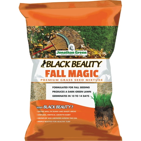 JONATHAN GREEN Black Beauty Fall Magic Grass Seed Mixture - Pack of 6