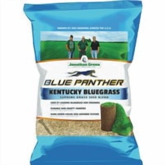 JONATHAN GREEN Blue Panther Kentucky Bluegrass Grass Seed - Pack of 5