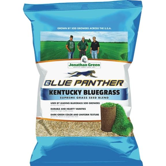 JONATHAN GREEN Blue Panther Kentucky Bluegrass Grass Seed - Pack of 6