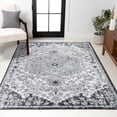 thumbnail image 1 of JONATHAN Y BOHEMIAN FLAIR 5 x 8 Area Rug, Anaise Ornate Medallion - Gray/Black/Cream, BMF112A-5, 1 of 2